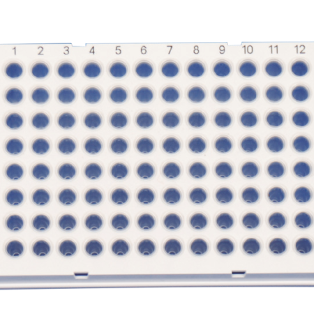 Hard-Shell Thin-Wall 96-Well Skirted PCR Plates，white shell/clear well