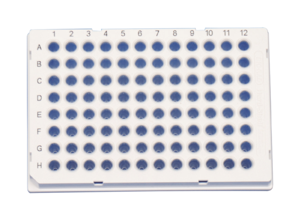 Hard-Shell Thin-Wall 96-Well Skirted PCR Plates，white shell/clear well